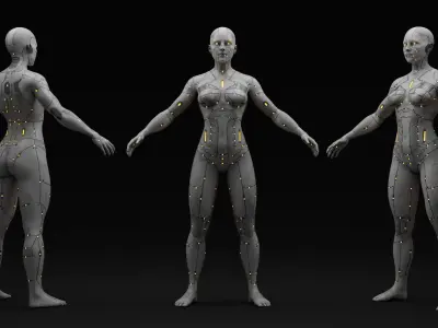 Androids 3D Model Pack