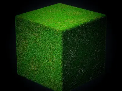 Grass - Wood-VOL 01-Maps - SBsar Texture