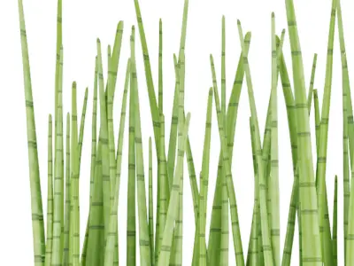 Collection plant vol 140 Free 3D model