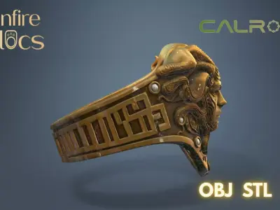 Calrith Ring  3D print model