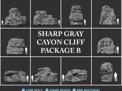 Low poly Gray Cliff Rock 200915 Pack B Low-poly 3D model