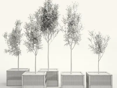 Icaria by esteve bonell 3D model