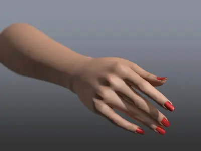 Rigged and Animated Hand (Female) 