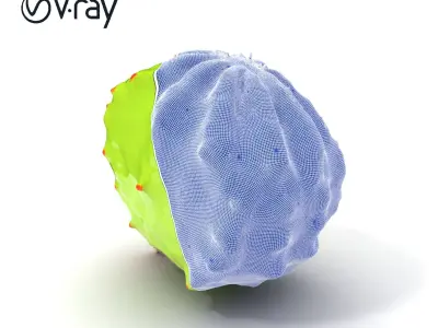 Cactus Model Pack with Detailed Spines and Textures Low-poly 3D model