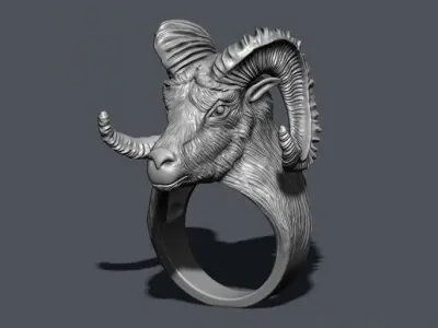aries ring 3D print model