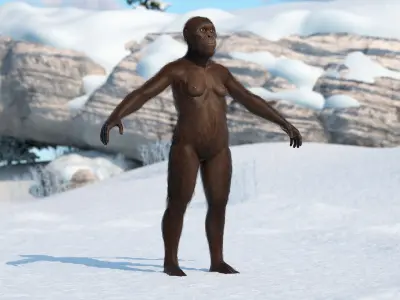  Museum-Grade Replica of Prehistoric Australopithecus Female Black Fur for Maya 