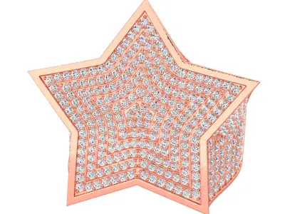 Star Mens Ring-799 3D print model