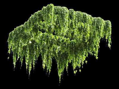 Pergola with grape leaves v2 3D model