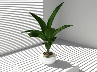 Floor potted collection Low-poly 3D model