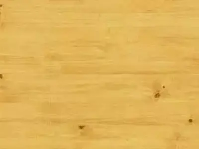 frame house 3D model