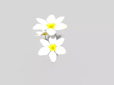 Low poly Plant flower Low-poly 3D model