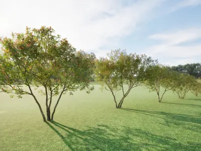 Twinmotion assets Amorpha fruticosa  3D model