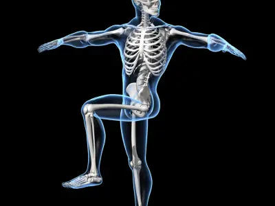  Human Skeleton - Rigged 