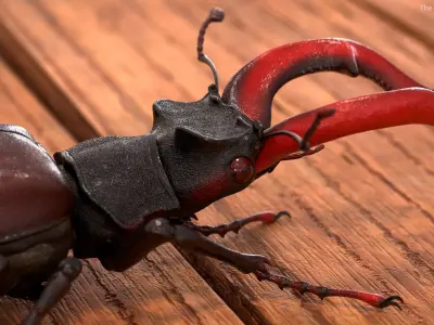  Flying Insects Rigged Collection 5 for Cinema 4D 