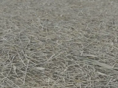 Dry Grass  3D model