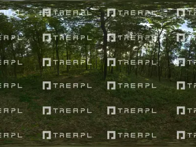 B08- HDRI SKIES TREAPL ATMOSPHERE - 360 SKIES Texture