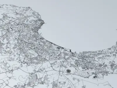 Algiers Road Network and Streets 3D model