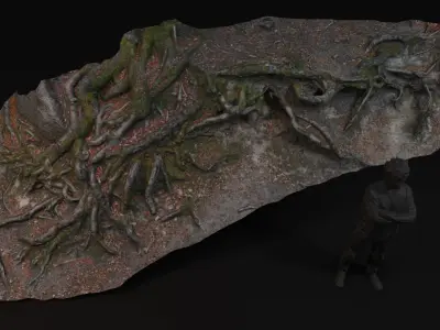 Beech forest ground - 2 of 6 - scan PBR Game ready Low-poly 3D model