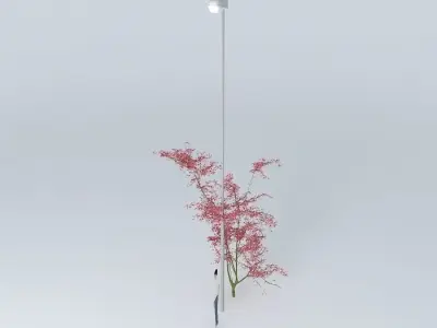 Thorn Civic Free 3D model