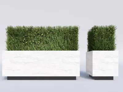 Hedge in a Box 3D model