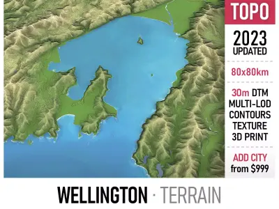 Wellington - 3D Terrain Model Low-poly 3D model