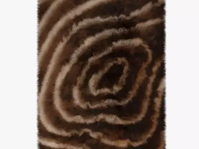 Carpet Rainbow 3D model