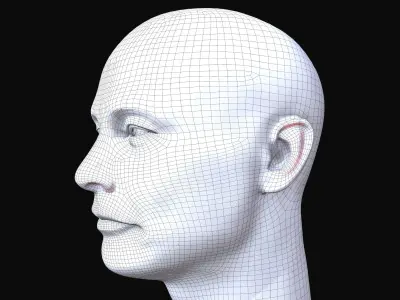 Elon Musk skin textured 3D portrait  Low-poly 3D model