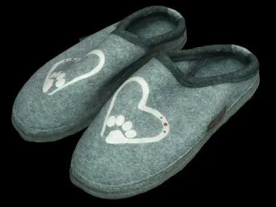  Shoes slippers collection 60 