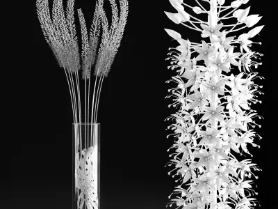 Eremurus tall grasses in vase - tall grasses in vase 3D model
