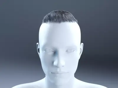 Simple short haircut military hairdcards Low Poly  Low-poly 3D model