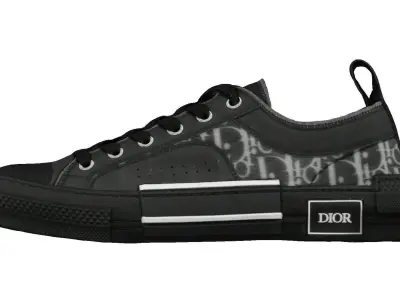 Dior B23 Low TOp Oblique 3D model