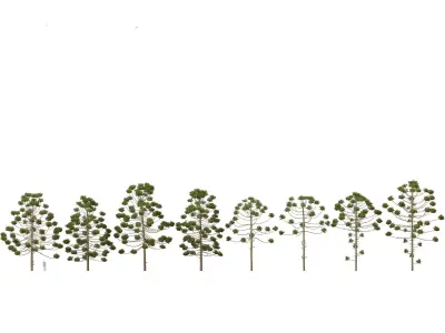 Tropical Architectural Foliage Pack 51 3D model