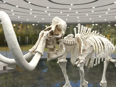  Dinosaur Skeletons Rigged for Cinema 4D Collection 