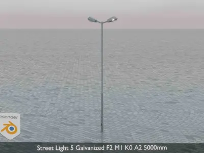 Street Light 5 Galvanized F2 M1 K0 A2 5000mm Low-poly 3D model