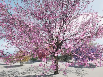 Flowering Trees 3d Pack 3D model