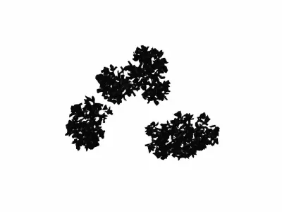  3d High Render Model Dense Forest Barrier In The Forest Area 3D model