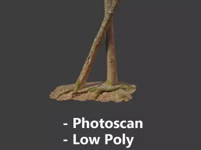 Tree Trunk Stump Scanned Processed Free low-poly 3D model