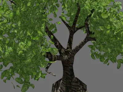 Tree PBR Free Free low-poly 3D model