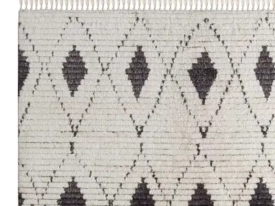 Ada Tufted Rug 3D model