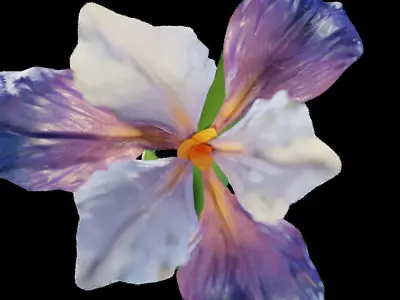 Animated Low Poly Iris Flower Low-poly 3D model