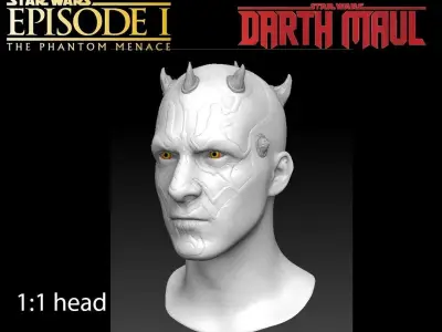 Darth Maul head full size for 3d print 3D model