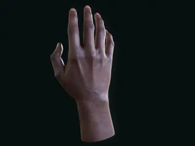 Realistic Human Hand - Rigged Low-poly 3D model