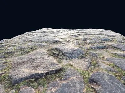 RockScan rock with grass Low-poly 3D model