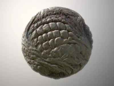 Material Skin Monster 29 Seamless PBR Texture Texture