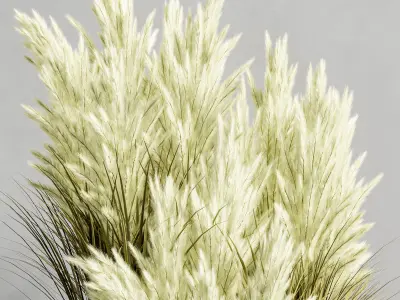 Indoor Plant Set 79 3D model