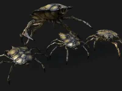 Insect Crawlers Collection Low-poly 3D model