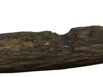 Fallen Forest Log Low-poly 3D model