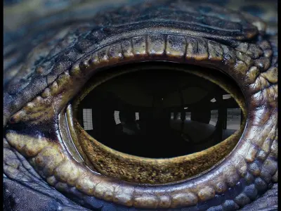 Creature eye Textures vol 02 Texture