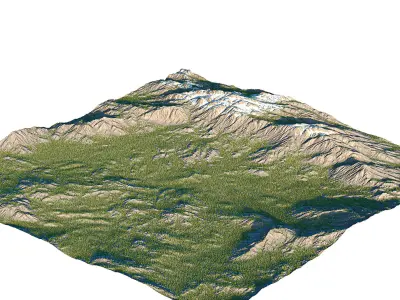 landscape01 engelmann spruce 3D model