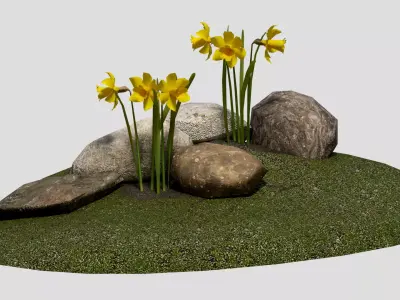 Yellow daffodils and stones Low-poly 3D model